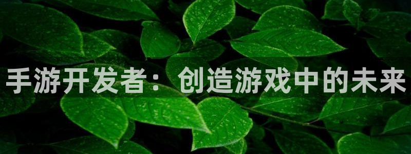 pc28大神预测官网下载地址：手游开发者：创造游戏中的未来