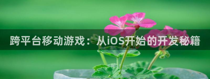 大神加拿大pc28官方开奖预测走势：跨平台移动游戏：从iOS