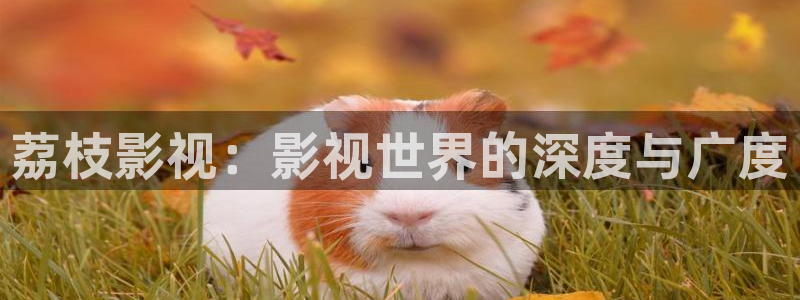 么么哒影院电视剧在线观看：荔枝影视：影视世界的深度与广度