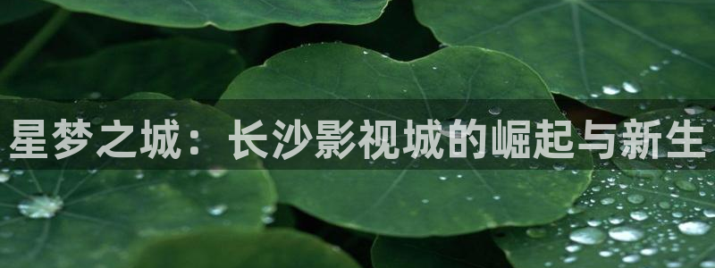 么么哒视频：星梦之城：长沙影视城的崛起与新生