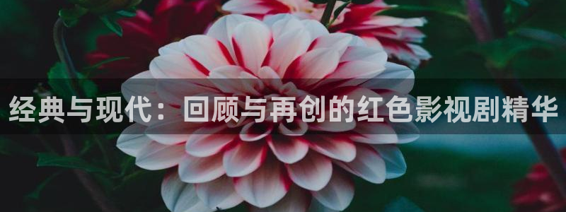 神马午夜影院么么哒：经典与现代：回顾与再创的红色影视剧精华